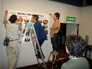 3hannyu0013s.jpg(30969 byte)